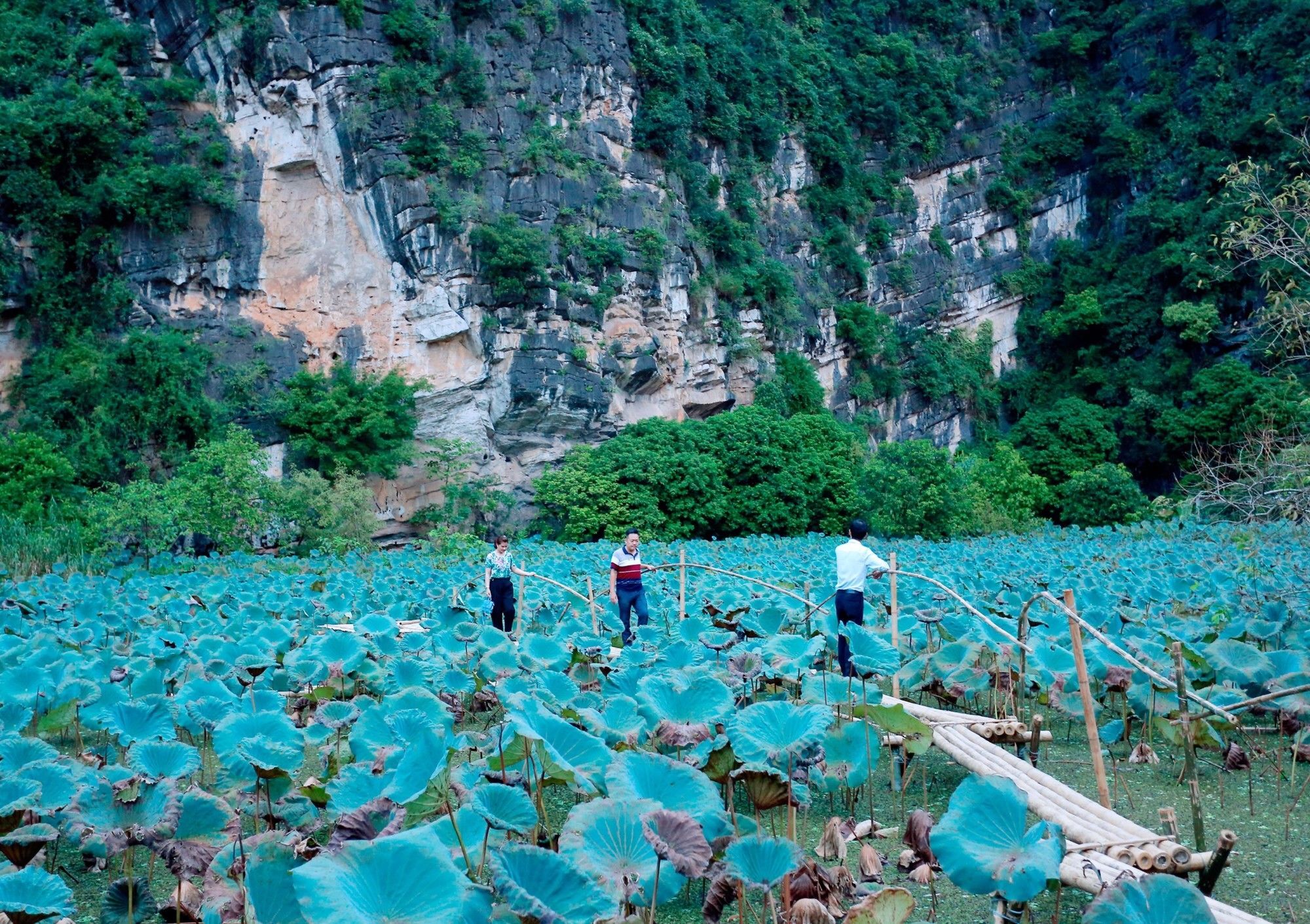 Trang An Heritage Garden Ninh Binh Exterior foto